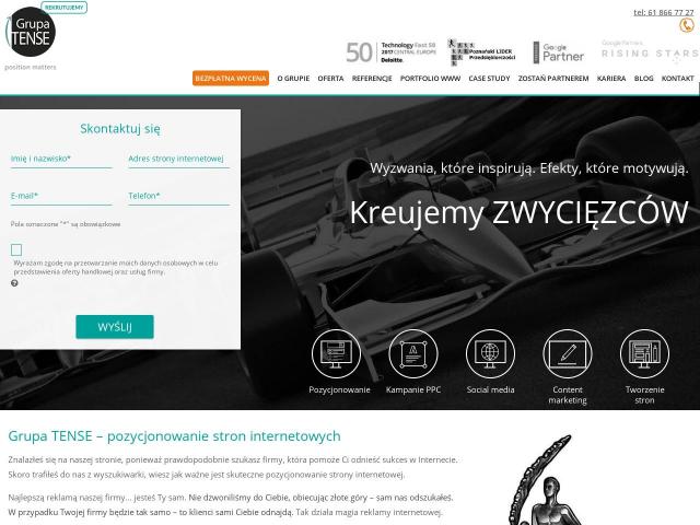 Grupa TENSE