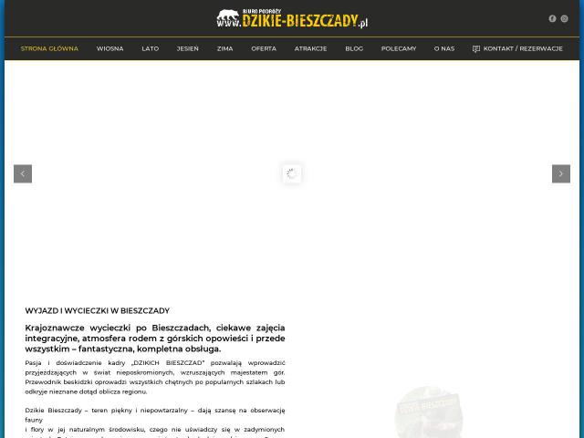 Biuro Podróży DZIKIE BIESZCZADY